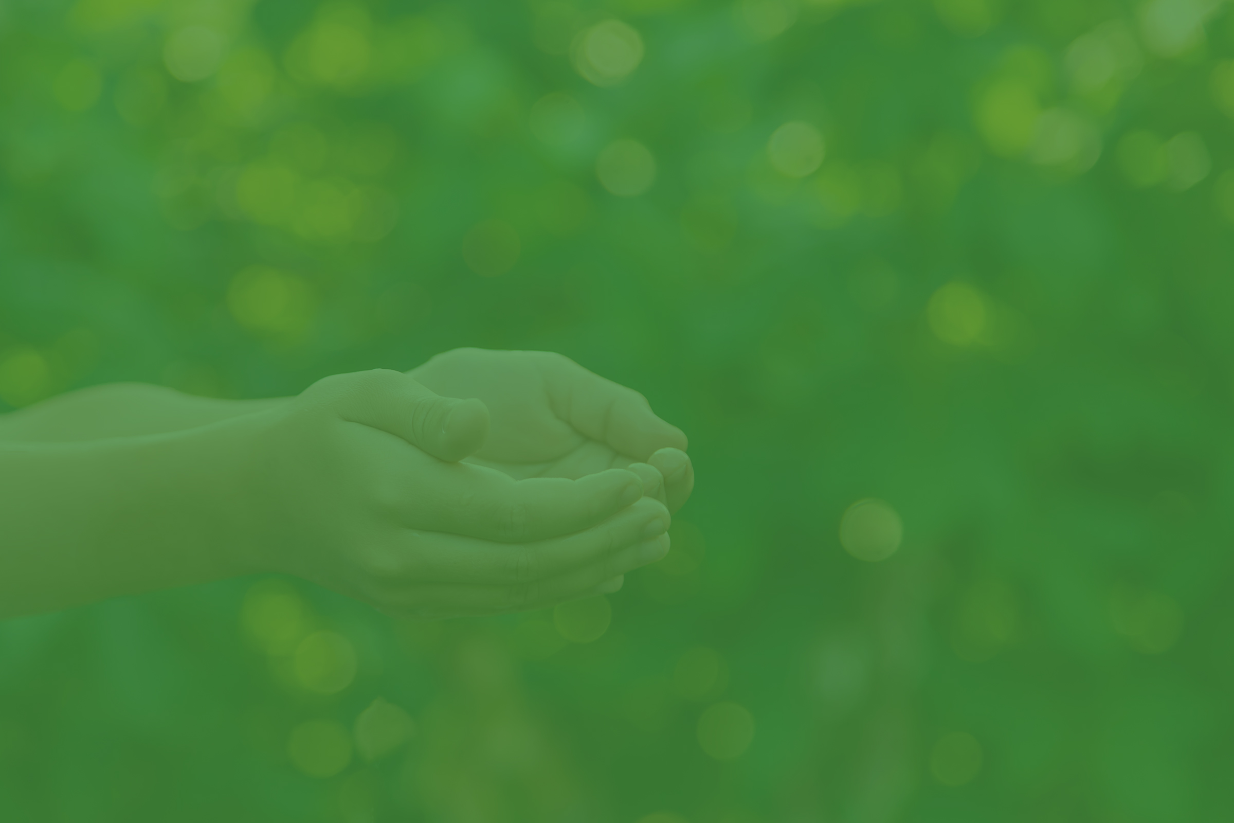 حكم الاستثمار بأموال اليتامى حال خسارتها